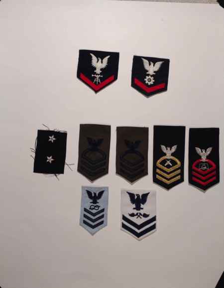 Insignia-Greens-Multiple Branches (1096) picture 14