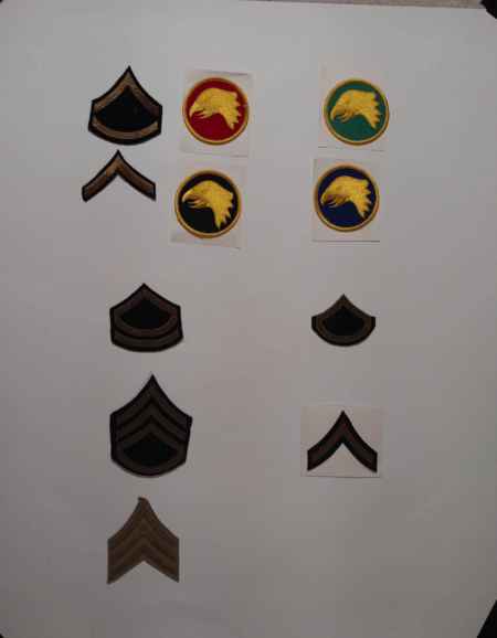 Insignia-Greens-Multiple Branches (1096) picture 17