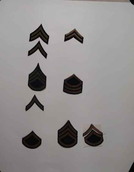 Insignia-Greens-Multiple Branches (1096) picture 18