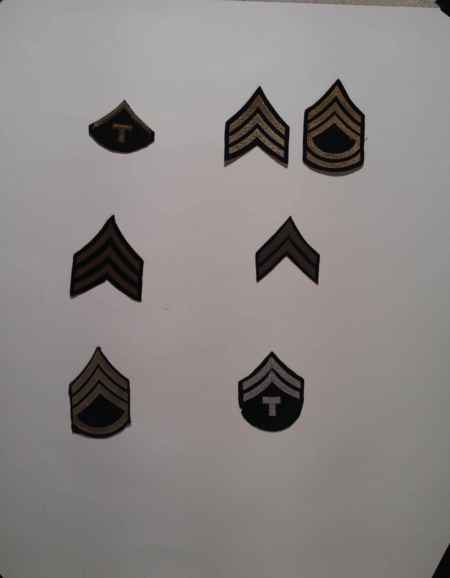 Insignia-Greens-Multiple Branches (1096) picture 19