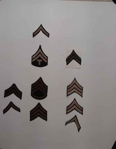 Insignia-Greens-Multiple Branches (1096) picture 20