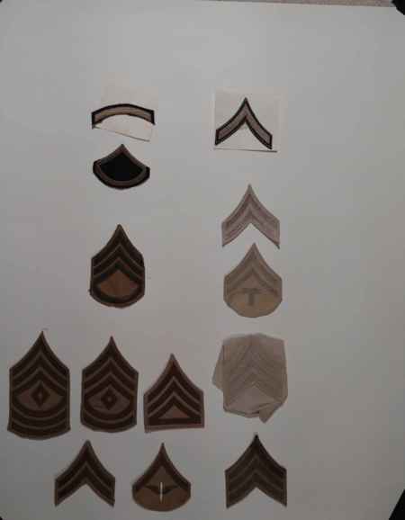 Insignia-Greens-Multiple Branches (1096) picture 21