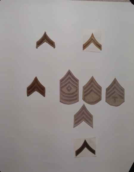 Insignia-Greens-Multiple Branches (1096) picture 22