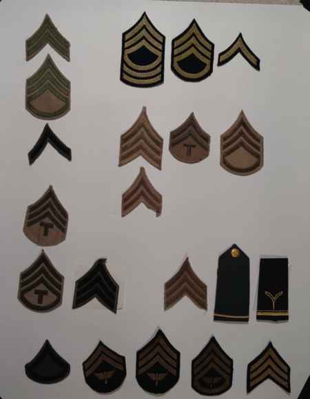 Insignia-Greens-Multiple Branches (1096) picture 23