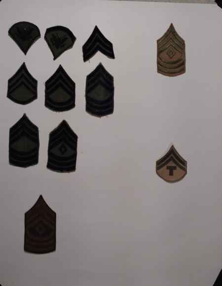 Insignia-Greens-Multiple Branches (1096) picture 24