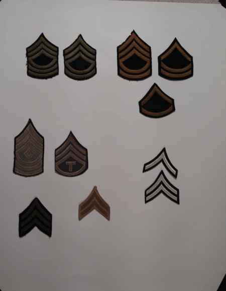 Insignia-Greens-Multiple Branches (1096) picture 25