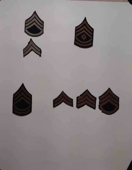 Insignia-Greens-Multiple Branches (1096) picture 26