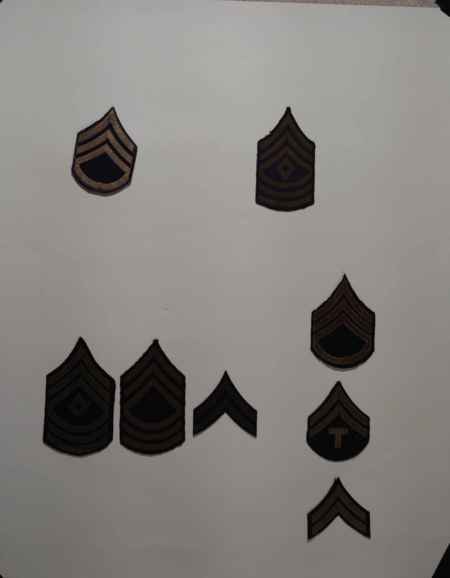 Insignia-Greens-Multiple Branches (1096) picture 27