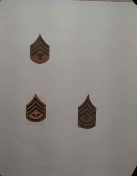 Insignia-Greens-Multiple Branches (1096) picture 28