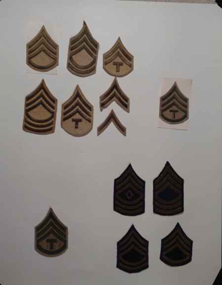 Insignia-Greens-Multiple Branches (1096) picture 30