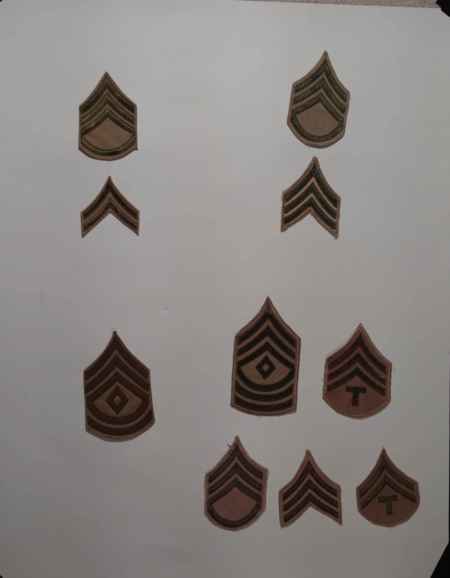 Insignia-Greens-Multiple Branches (1096) picture 34