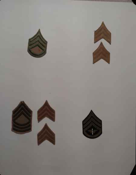 Insignia-Greens-Multiple Branches (1096) picture 35