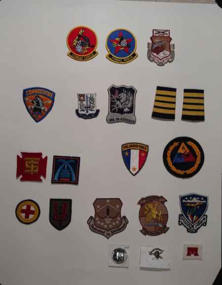 Insignia-Greens-Multiple Branches (1096) picture 36