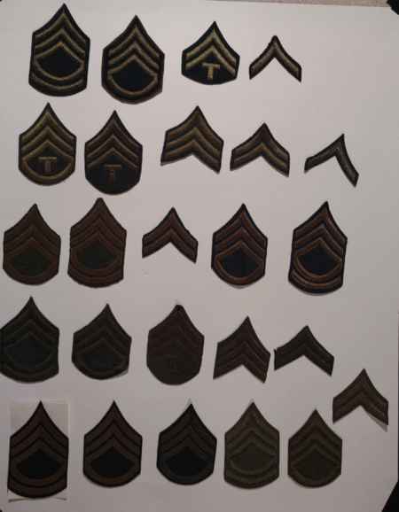 Insignia-Greens-Multiple Branches (1096) picture 37