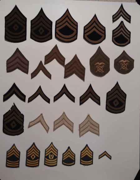 Insignia-Greens-Multiple Branches (1096) picture 39