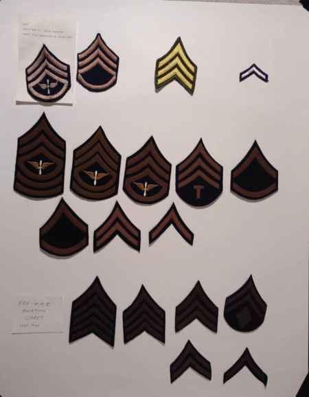 Insignia-Greens-Multiple Branches (1096) picture 40