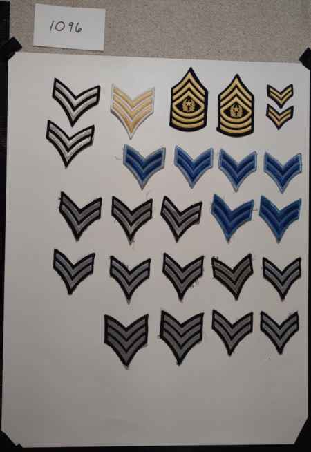 Insignia-Greens-Multiple Branches (1096) picture 64