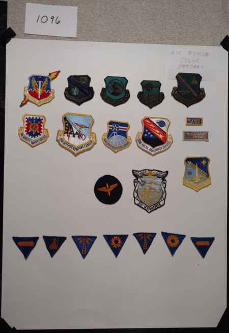 Insignia-Greens-Multiple Branches (1096) picture 65