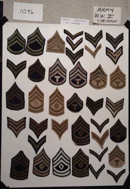 Insignia-Greens-Multiple Branches (1096) picture 77