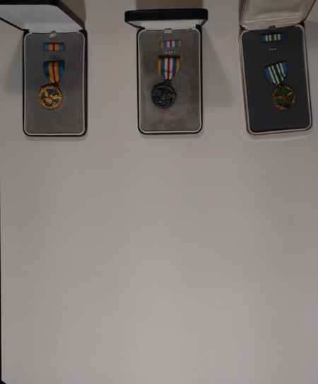 Joint Services and DOD Decorations (1059) picture 4