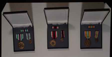 Medals Trunk 1 (1058) picture 11