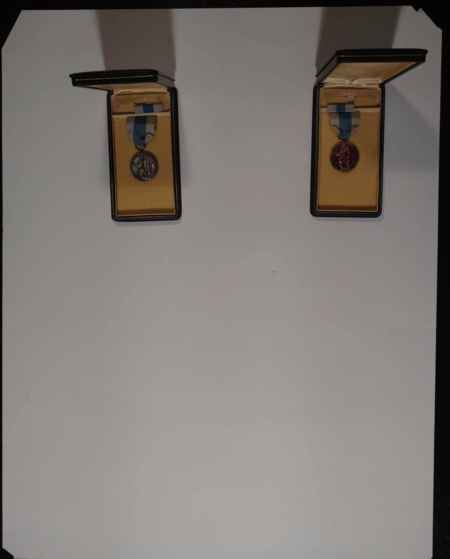 Medals Trunk 2 (1055) picture 4