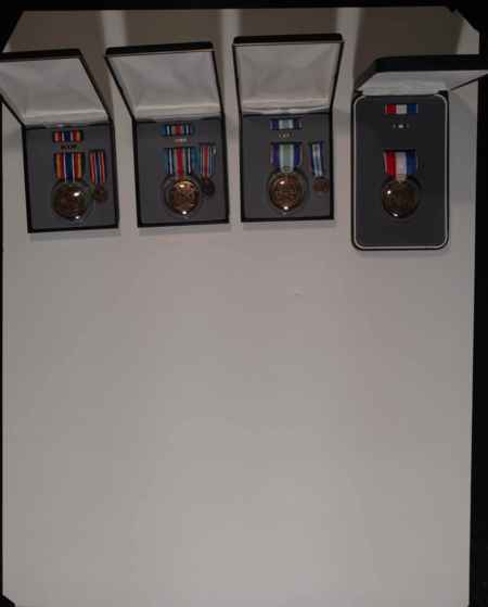 Medals Trunk 2 (1055) picture 5