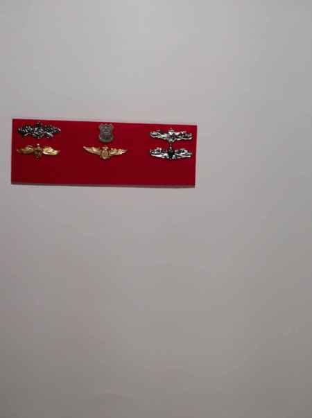 Navy (1030) picture 4