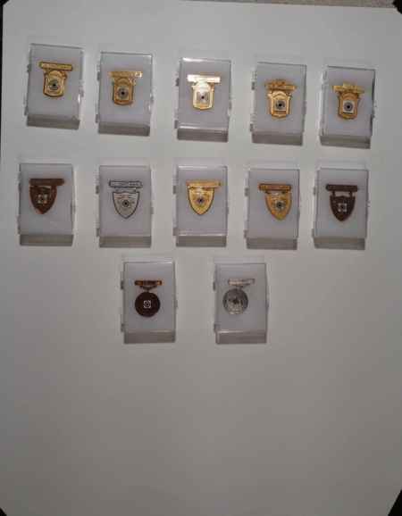 Shooting Medals (All Services) (1046) picture 6