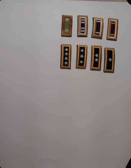 Various Branches- Pairs-Shoulders (1093) picture 9