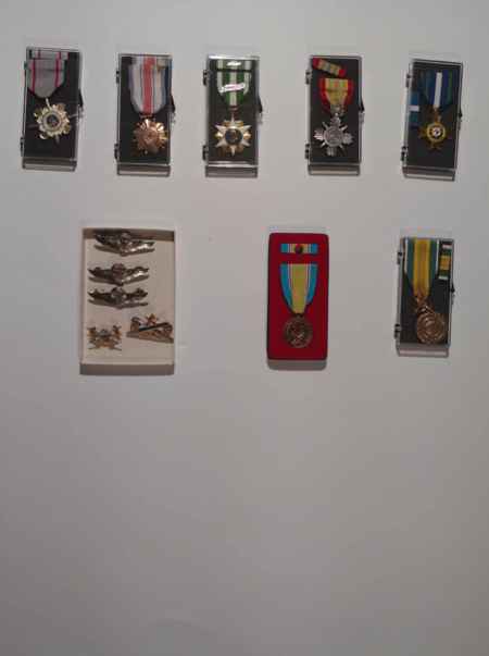 Vietnam Medals (1053) picture 5